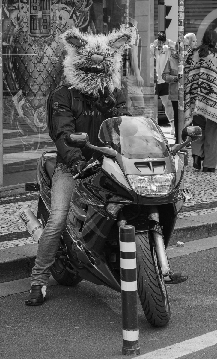 DSC07868